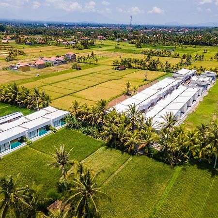 Green Flow Ubud Villas III מראה חיצוני תמונה