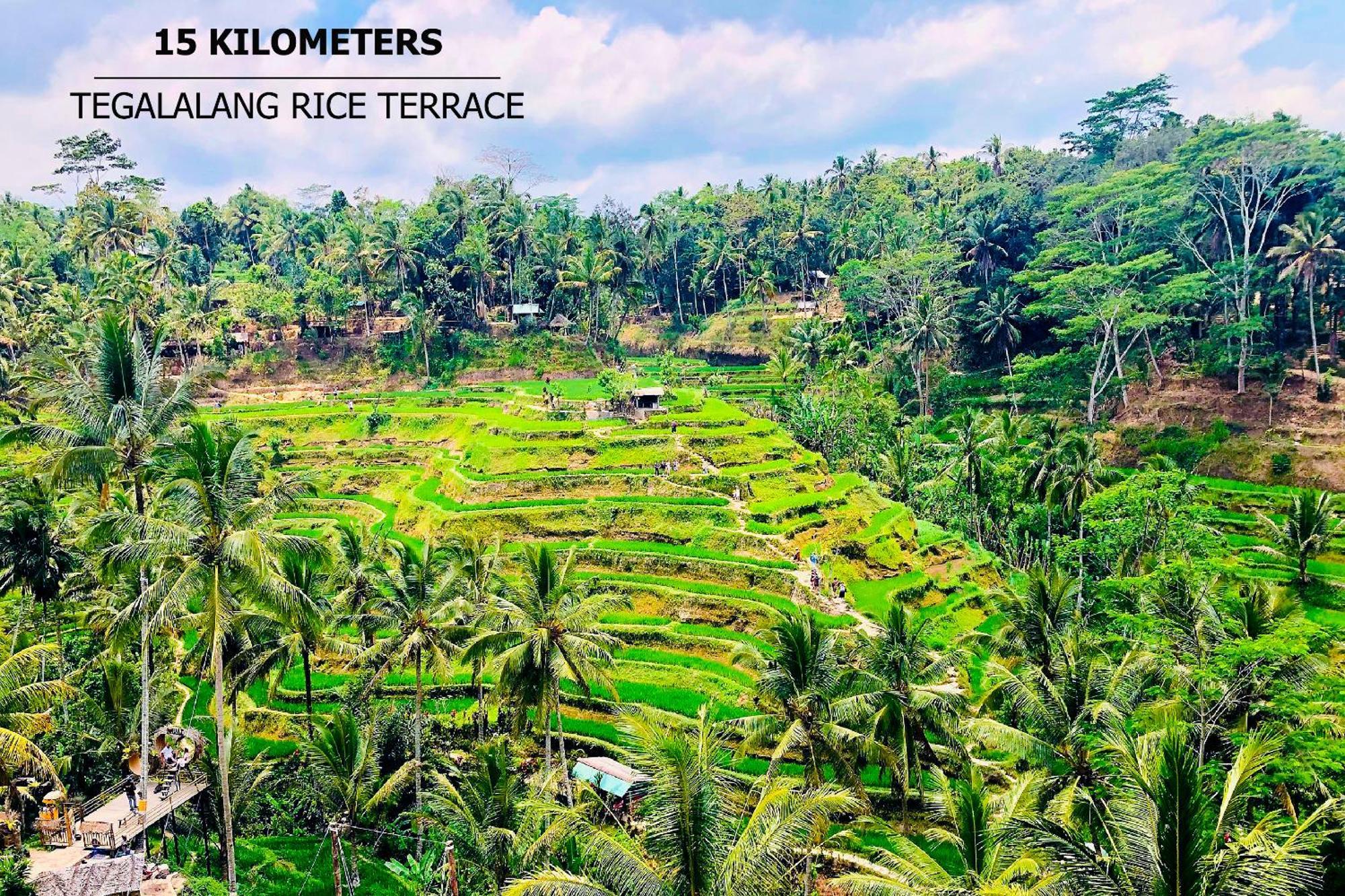 Green Flow Ubud Villas III מראה חיצוני תמונה