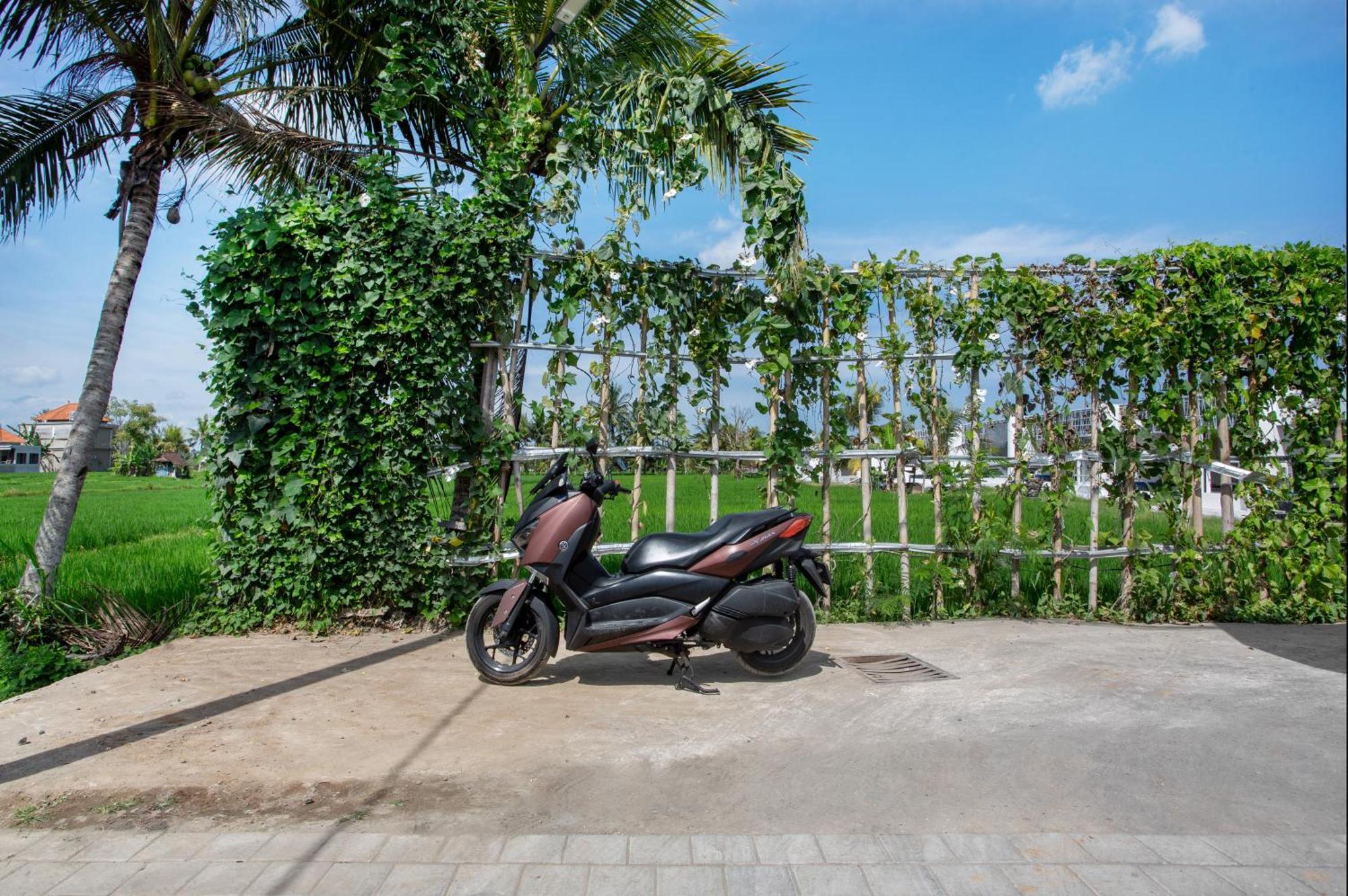 Green Flow Ubud Villas III חדר תמונה