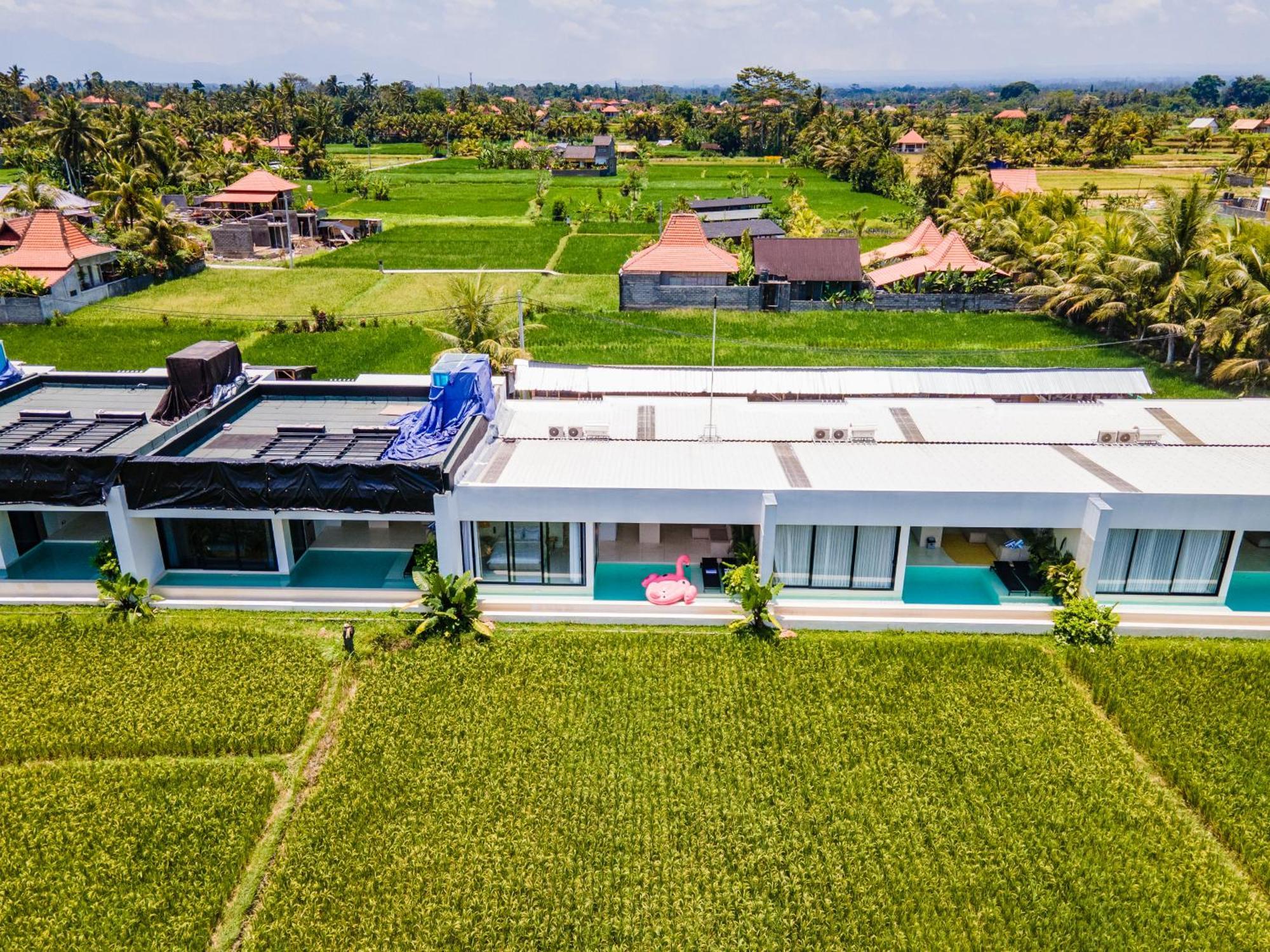 Green Flow Ubud Villas III מראה חיצוני תמונה