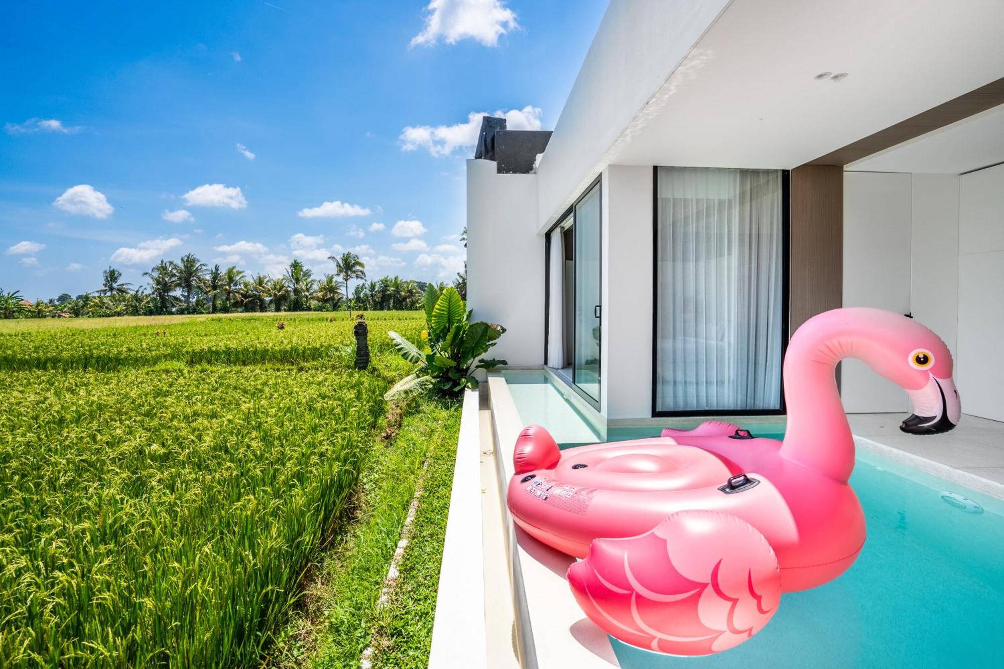 Green Flow Ubud Villas III מראה חיצוני תמונה