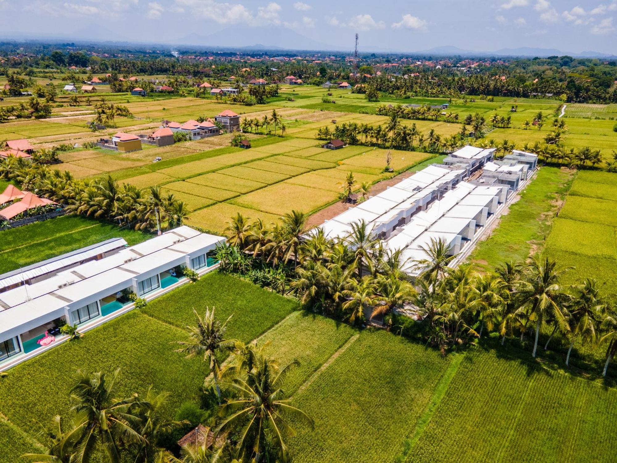 Green Flow Ubud Villas III מראה חיצוני תמונה