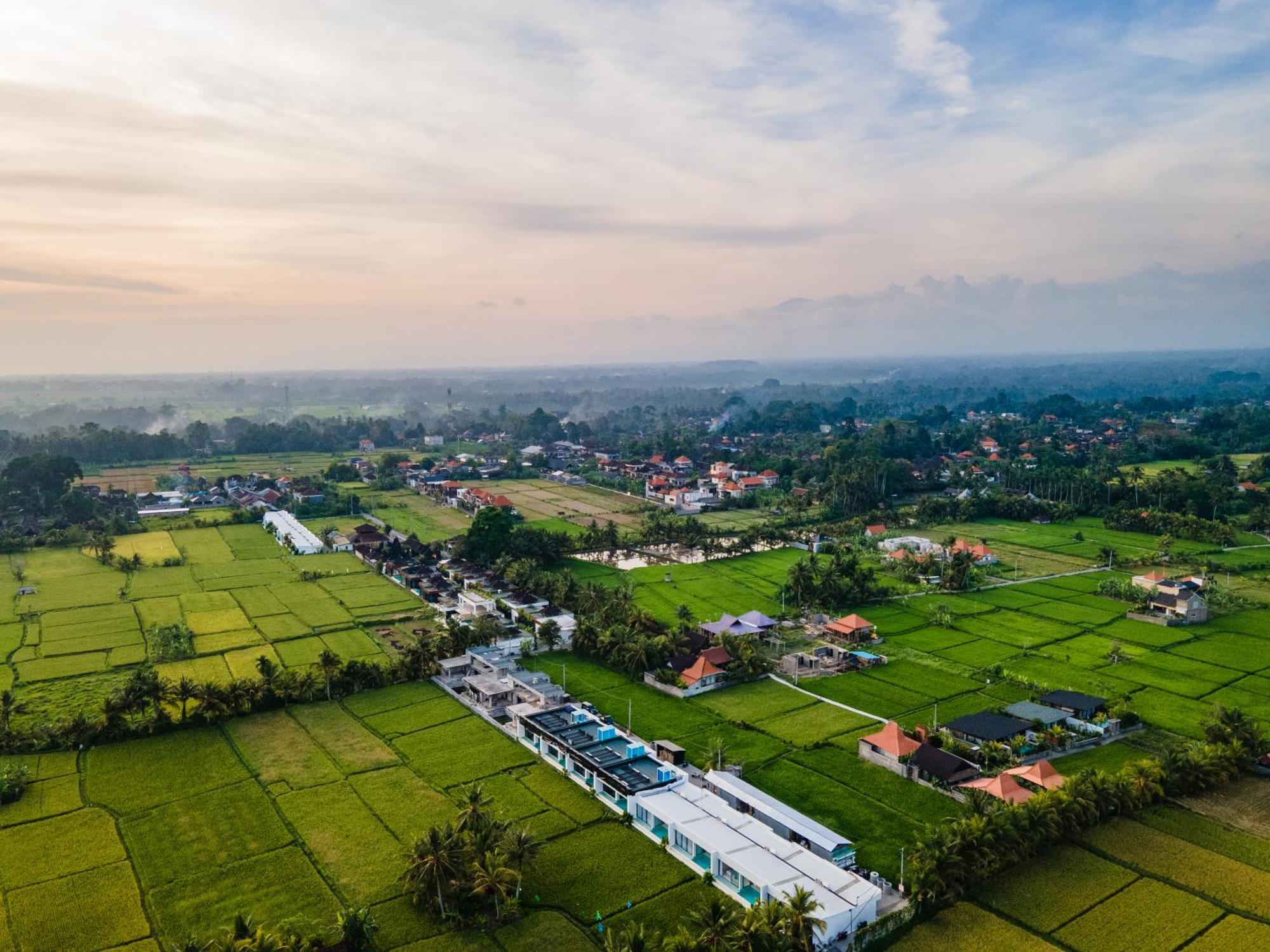 Green Flow Ubud Villas III מראה חיצוני תמונה