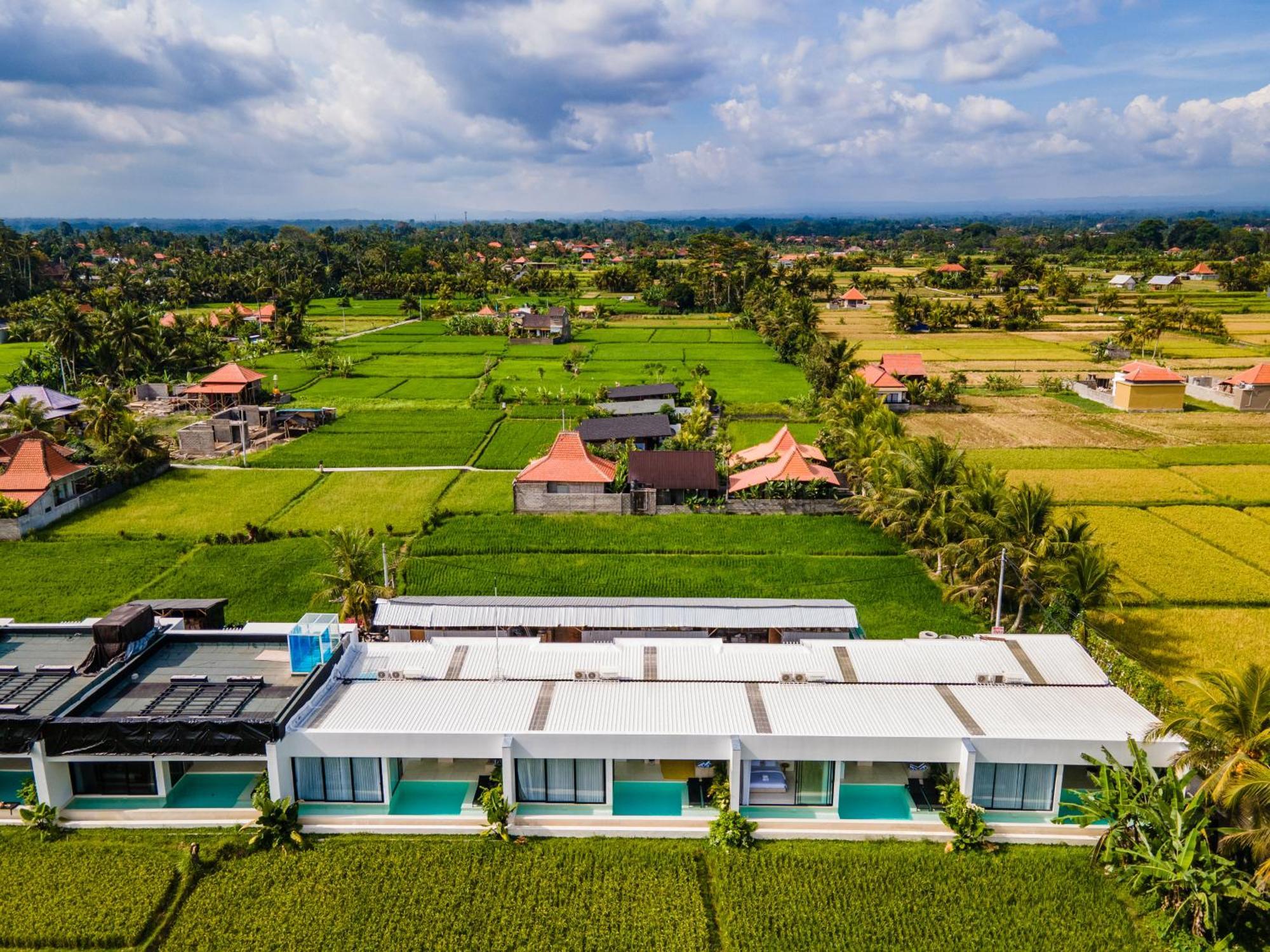 Green Flow Ubud Villas III חדר תמונה